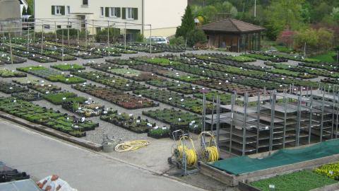 Blumenladen und Biogärtnerei Hospenthal-Kägi