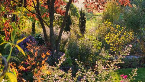 Herbststimmung