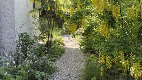 Waldgarten, Foto: C. Haarmann