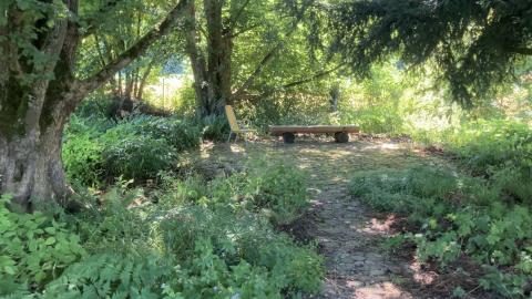 Schattengarten, Foto: Peter Schlachter