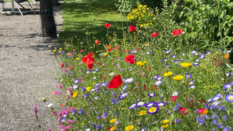Naturgarten Schär & Stalder Gartenbau GmbH