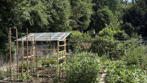 Gemüsegarten