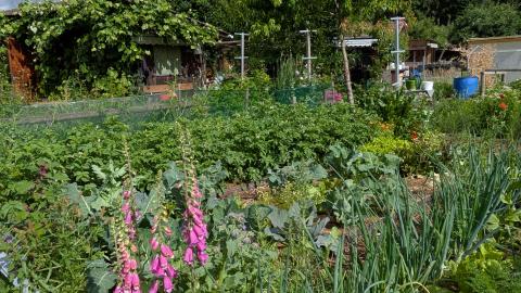 Moosgarten