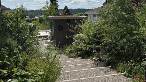 Einheimische Hecke und Stauden