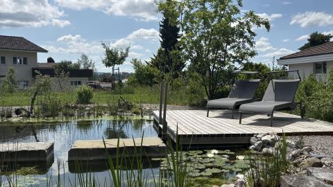 Schwimmteich