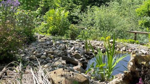 Hänni Gartenbau und Landschaftsarchitektur