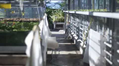 Biogärtnerei Stiftung Stöckenweid