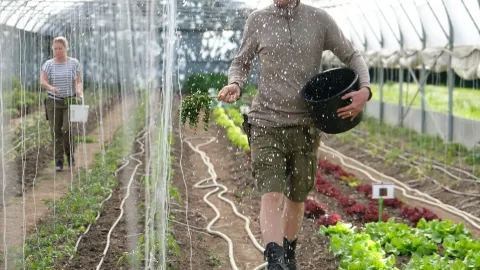 Biogärtnerei Stiftung Stöckenweid