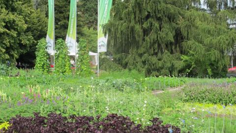 Wyss Versuchs und Schaugarten Zuchwil