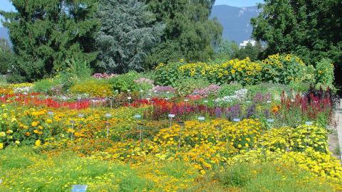 Wyss Versuchs und Schaugarten Zuchwil