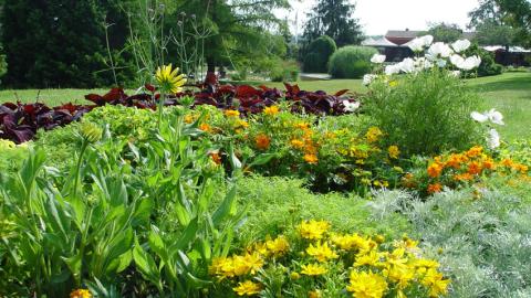 Wyss Versuchs und Schaugarten Zuchwil