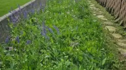 Theiler Naturnaher Gartenunterhalt