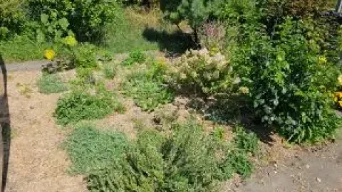 Theiler Naturnaher Gartenunterhalt