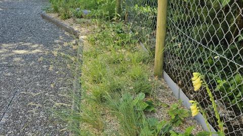 Theiler Naturnaher Gartenunterhalt