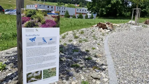 Naturgarten von Bünter Gartengestaltung und Pflege GmbH