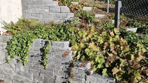 Naturgarten von Bünter Gartengestaltung und Pflege GmbH