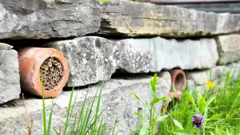 Naturgarten von Bünter Gartengestaltung und Pflege GmbH