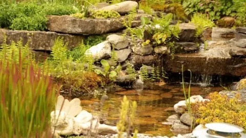 Naturgarten von Bünter Gartengestaltung und Pflege GmbH
