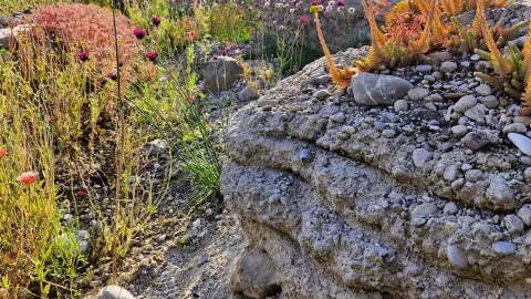 Naturgarten von Bünter Gartengestaltung und Pflege GmbH