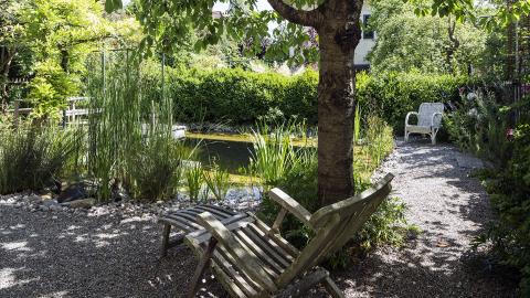 Entspannung im Naturgarten mit Liegestuhl und Schwimmteich