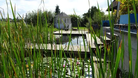 Naturgarten mit Teich