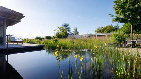 Schwimmteich in einem Naturgarten