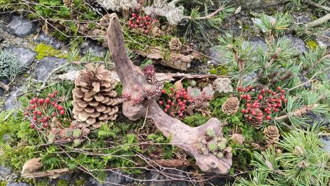 Advents-Gesteck aus Naturgarten-Materialien