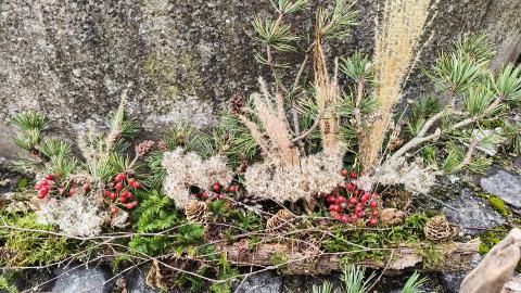 Advents-Gesteck aus Naturgarten-Materialien
