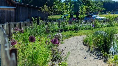 Naturgarten