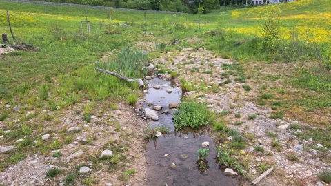 Hänni Gartenbau und Landschaftsarchitektur