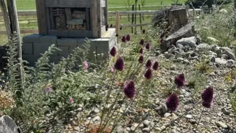 Hänni Gartenbau und Landschaftsarchitektur