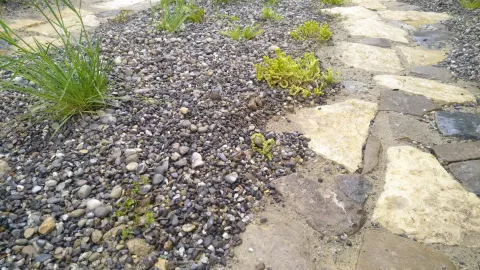 Aeschlimanns Lebensgärten Naturgarten