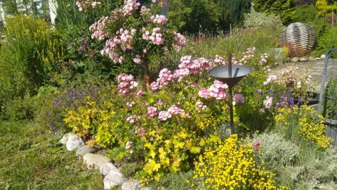 Aeschlimanns Lebensgärten Naturgarten