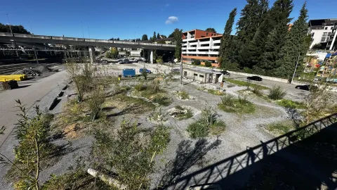 Hänni Gartenbau und Landschaftsarchitektur
