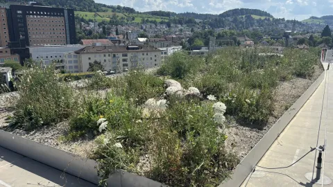 Hänni Gartenbau und Landschaftsarchitektur