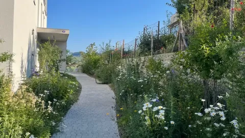 Hänni Gartenbau und Landschaftsarchitektur