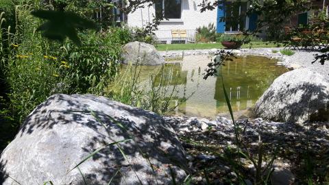 Gartenteich