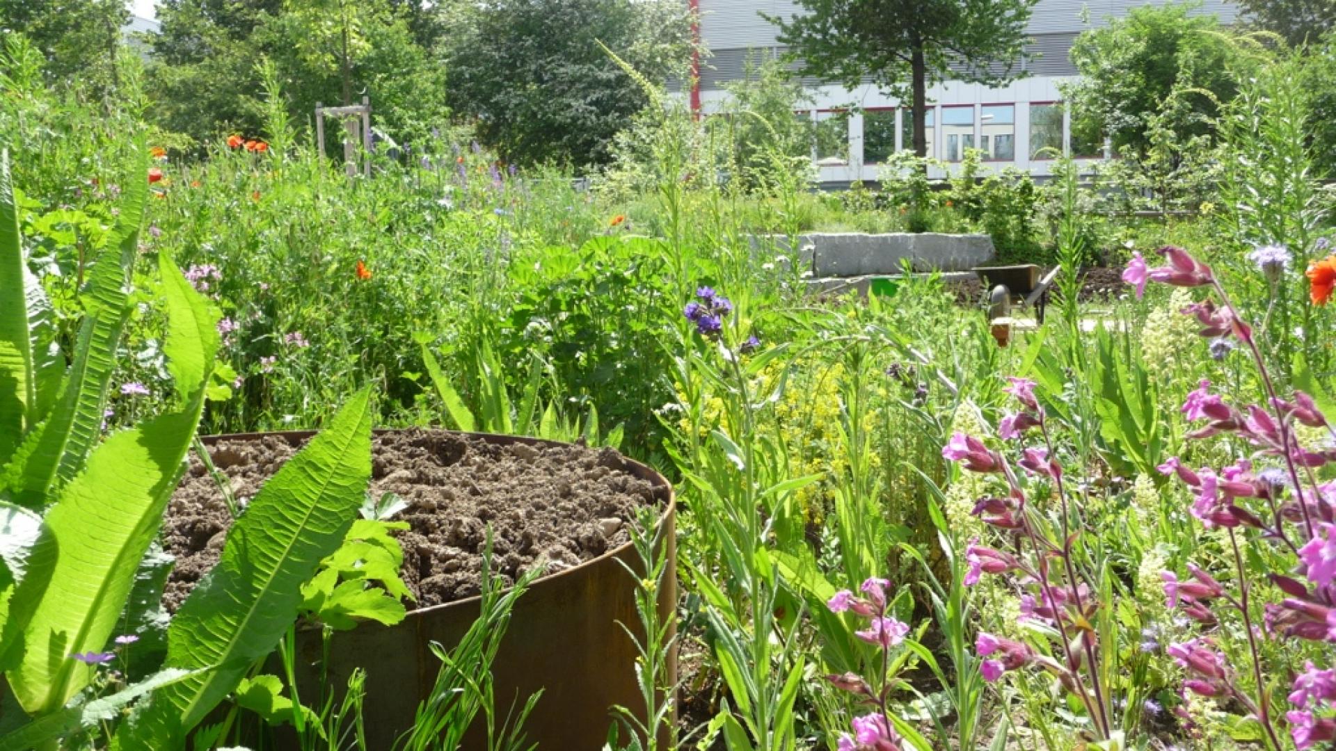 Gartenbau Bettina Schäppi 