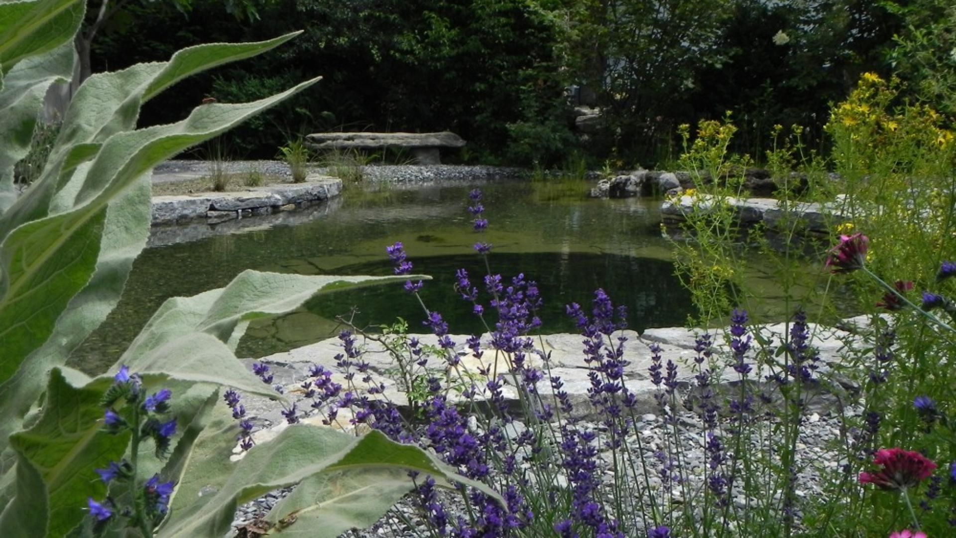 Schmidhauser Naturgarten
