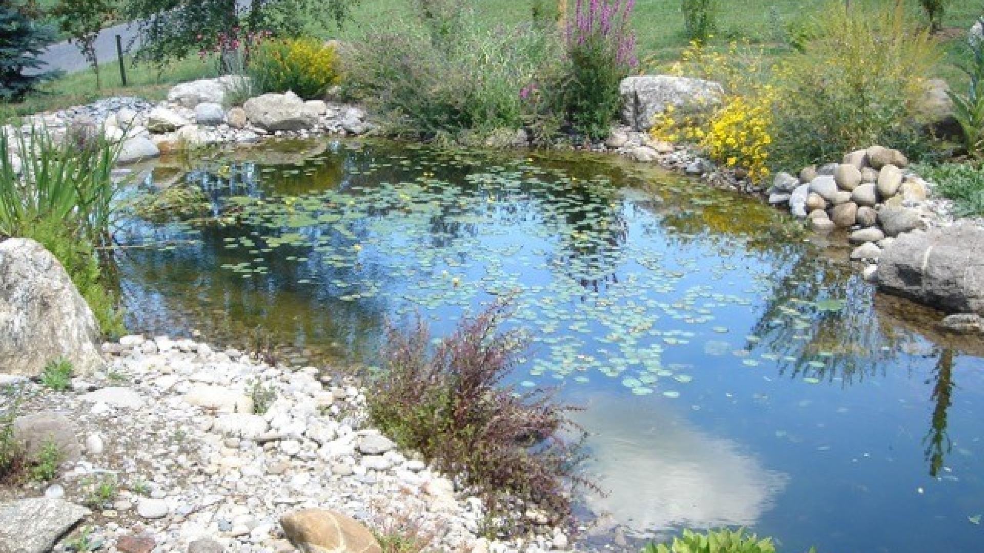 Strub Naturgartenbau