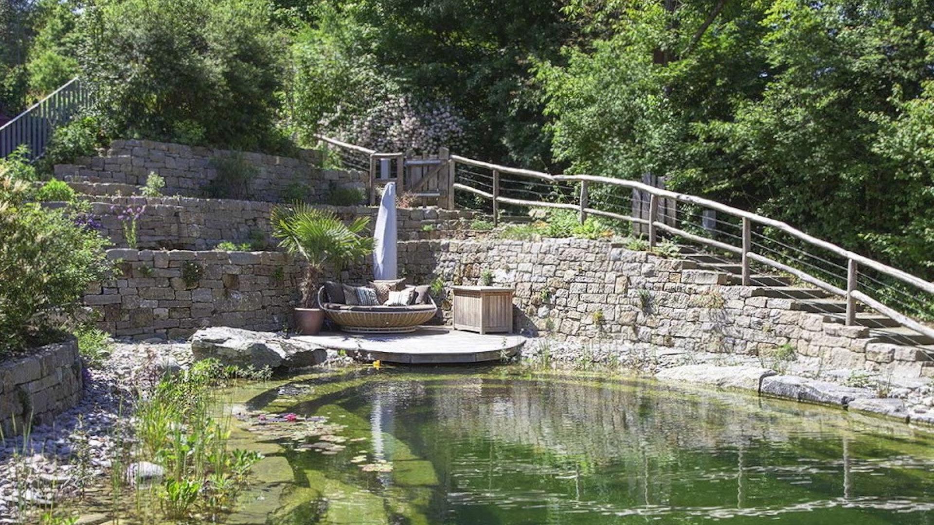 Gartengestaltung Grünzeug
