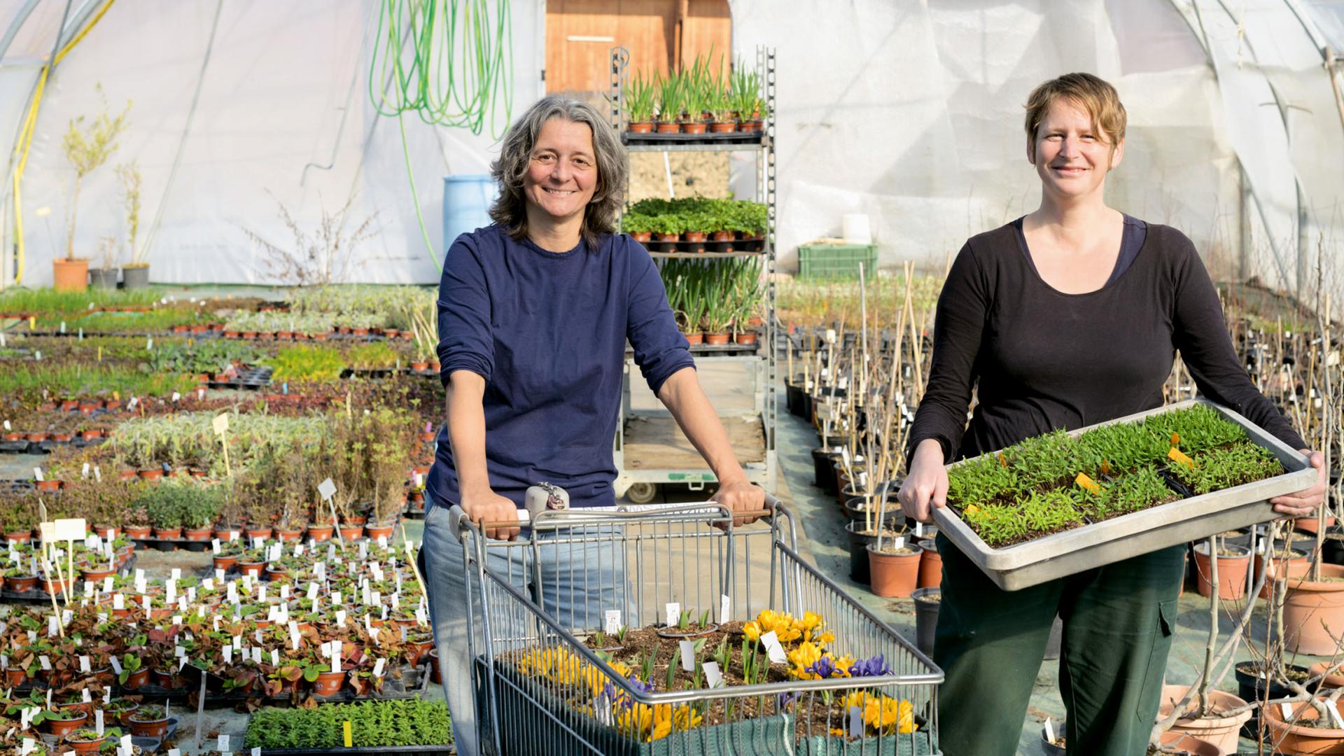 Biogärtnerei am Hirtenweg, Bina Thürkauf