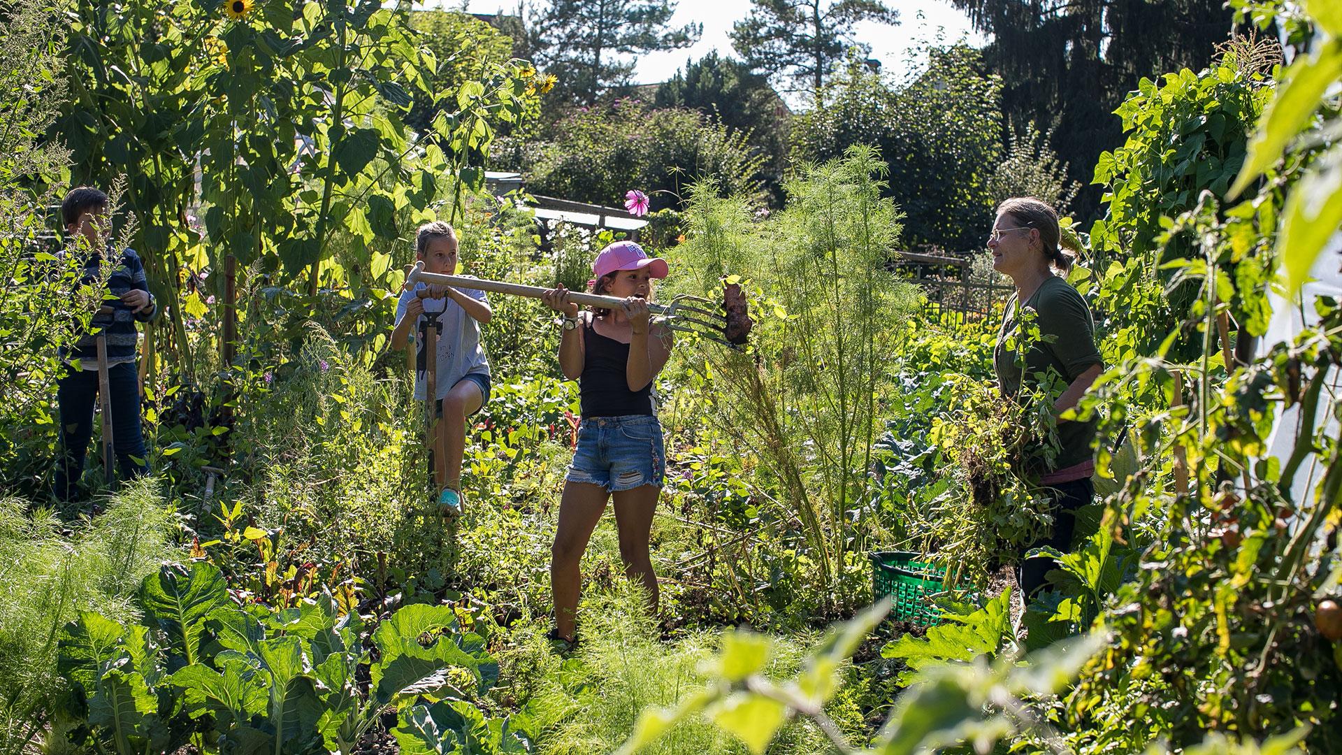 Saisonkurs-Leiterin Christine Vollenweider, Bild: Katharina Nüesch