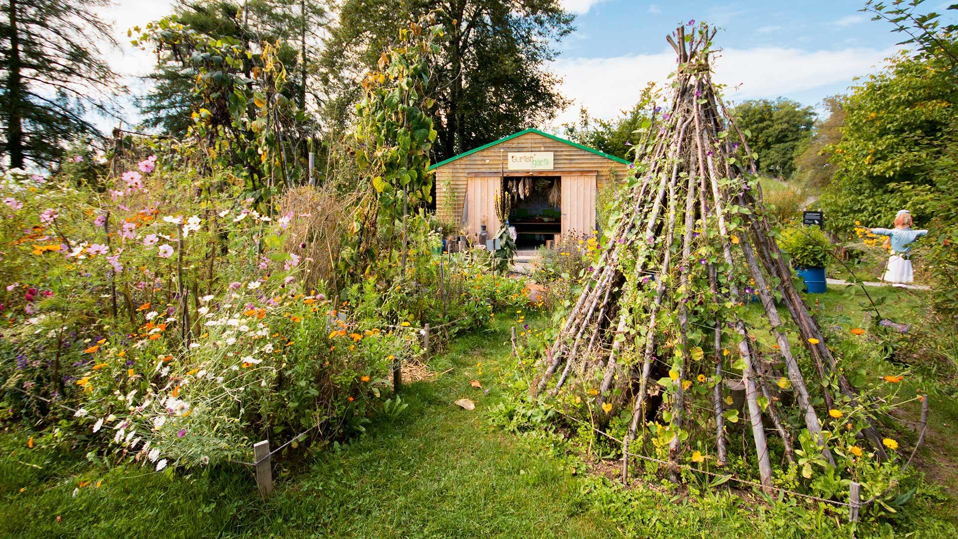 Das Gurtengärtli in Bern, Bild von Isabel Plana