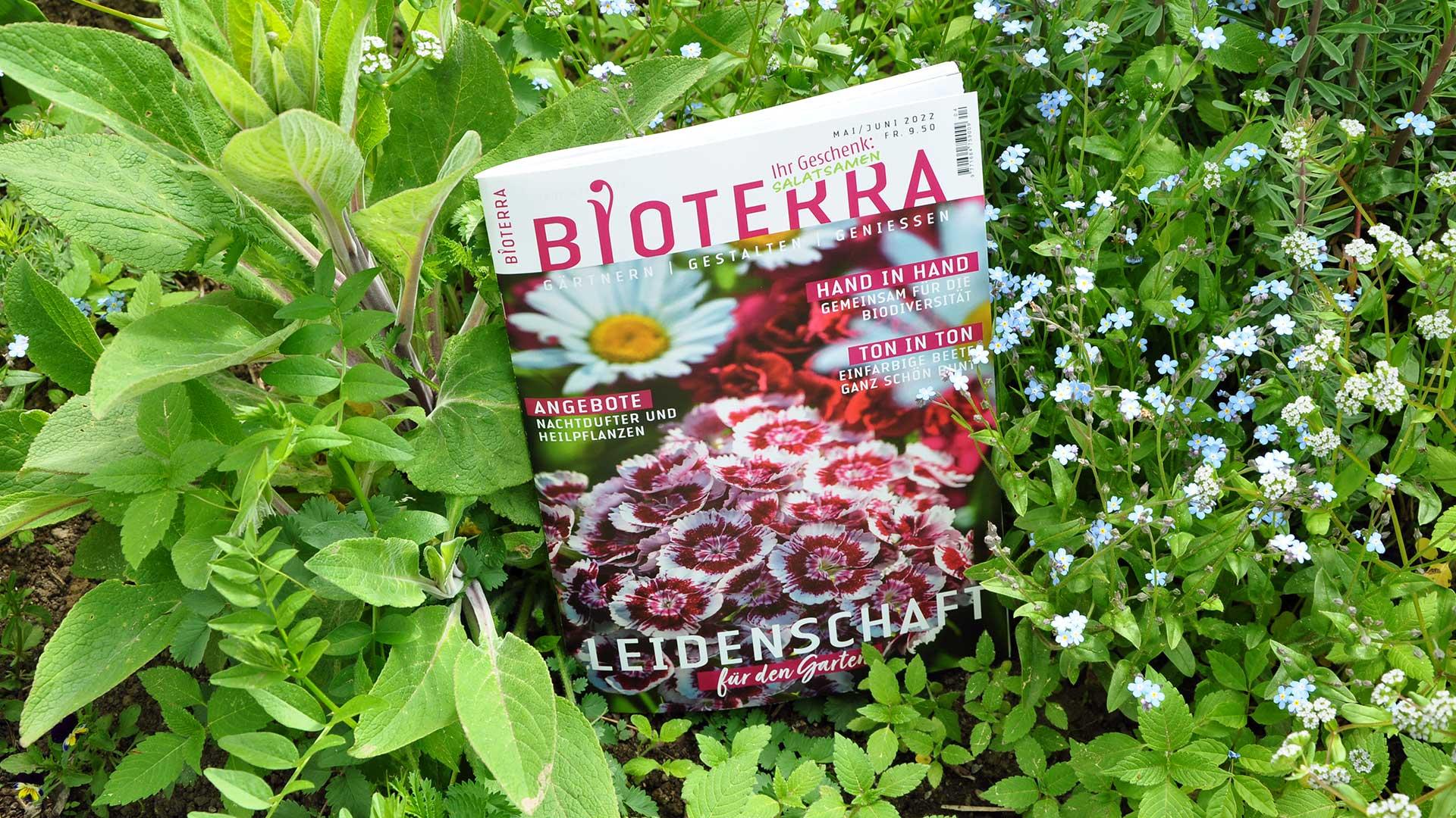 Zeitschrift «Bioterra» Mai/Juni 2022 Header