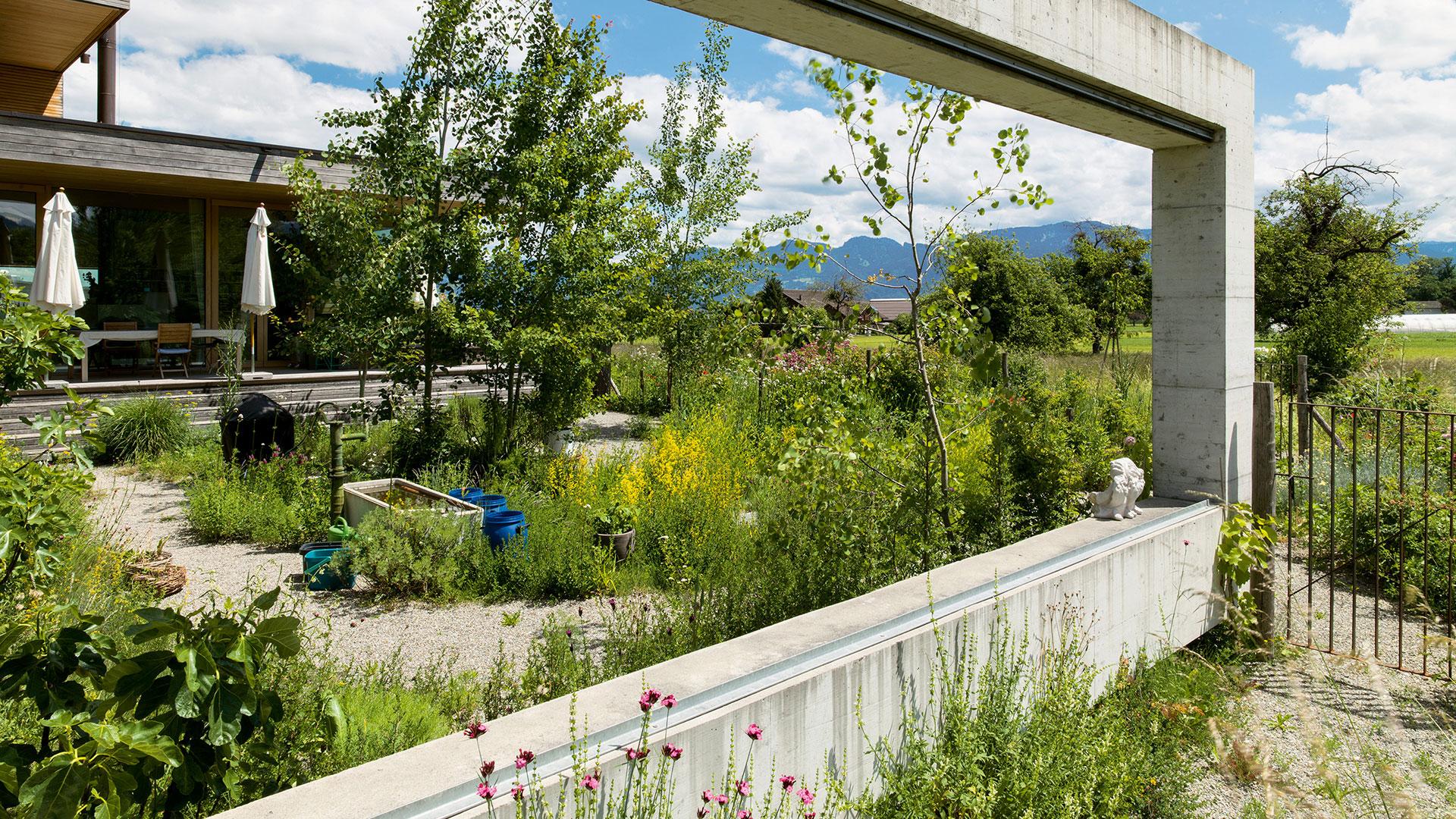 Gestalteter Naturgarten, Bild: Felix Brüngger