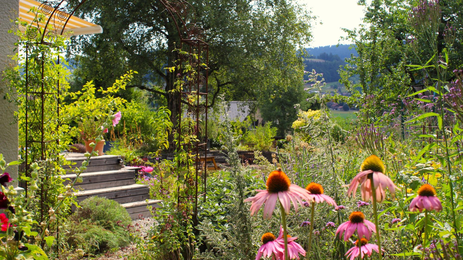 Naturgarten_KrautundLaub