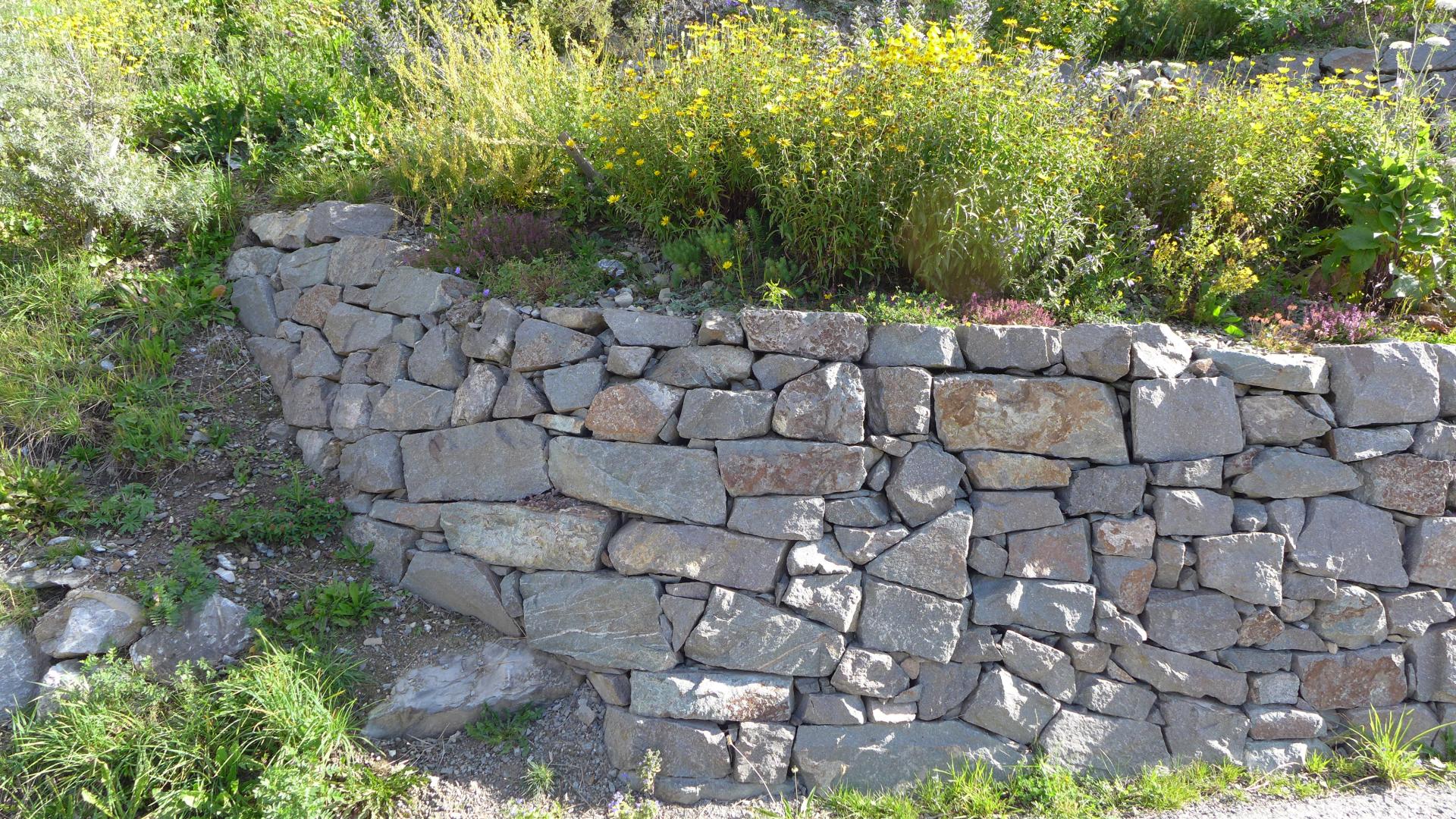 Natur_Garten_Reck