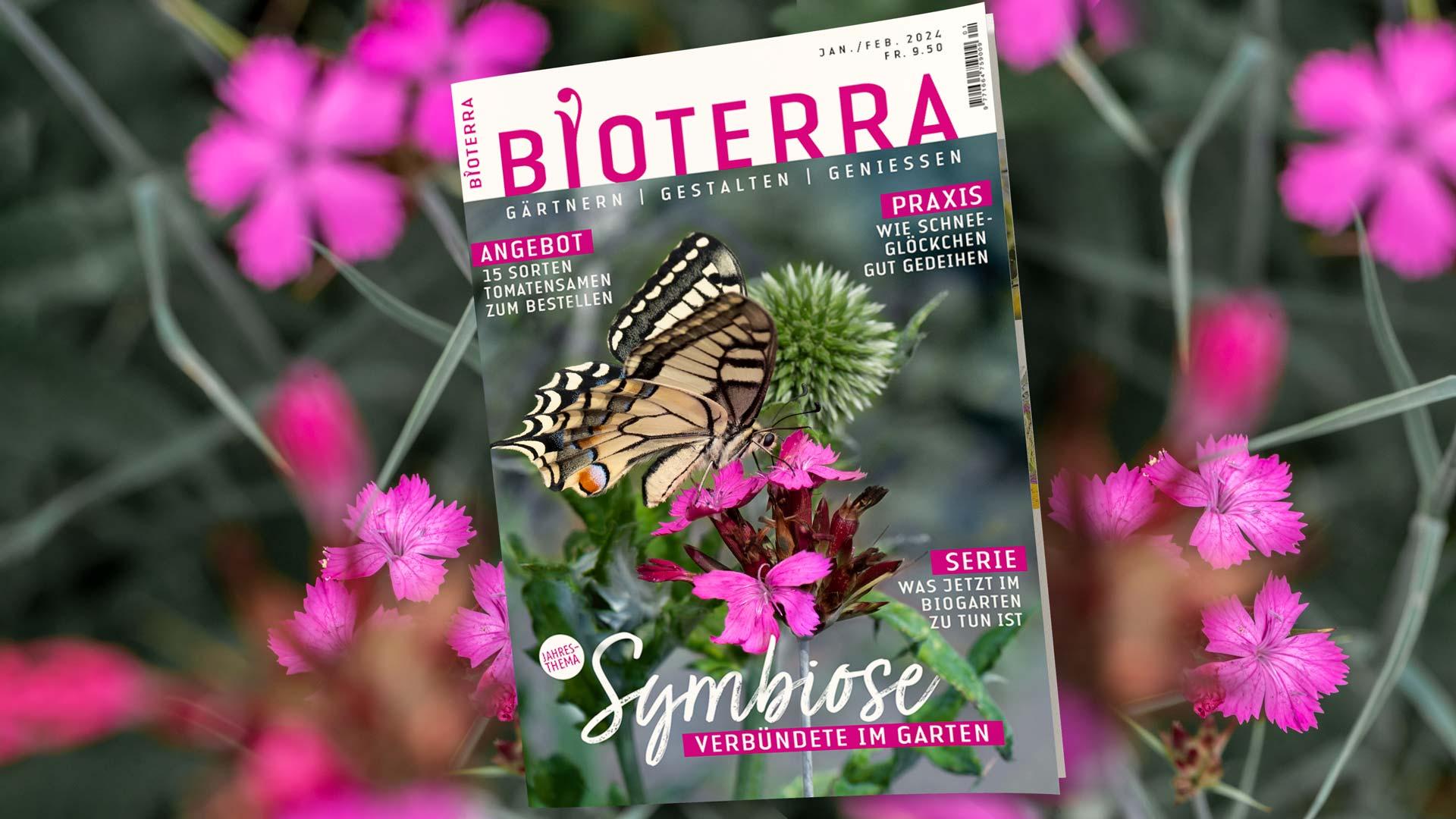 Zeitschrift «Bioterra» Januar/Februar 2024 Header