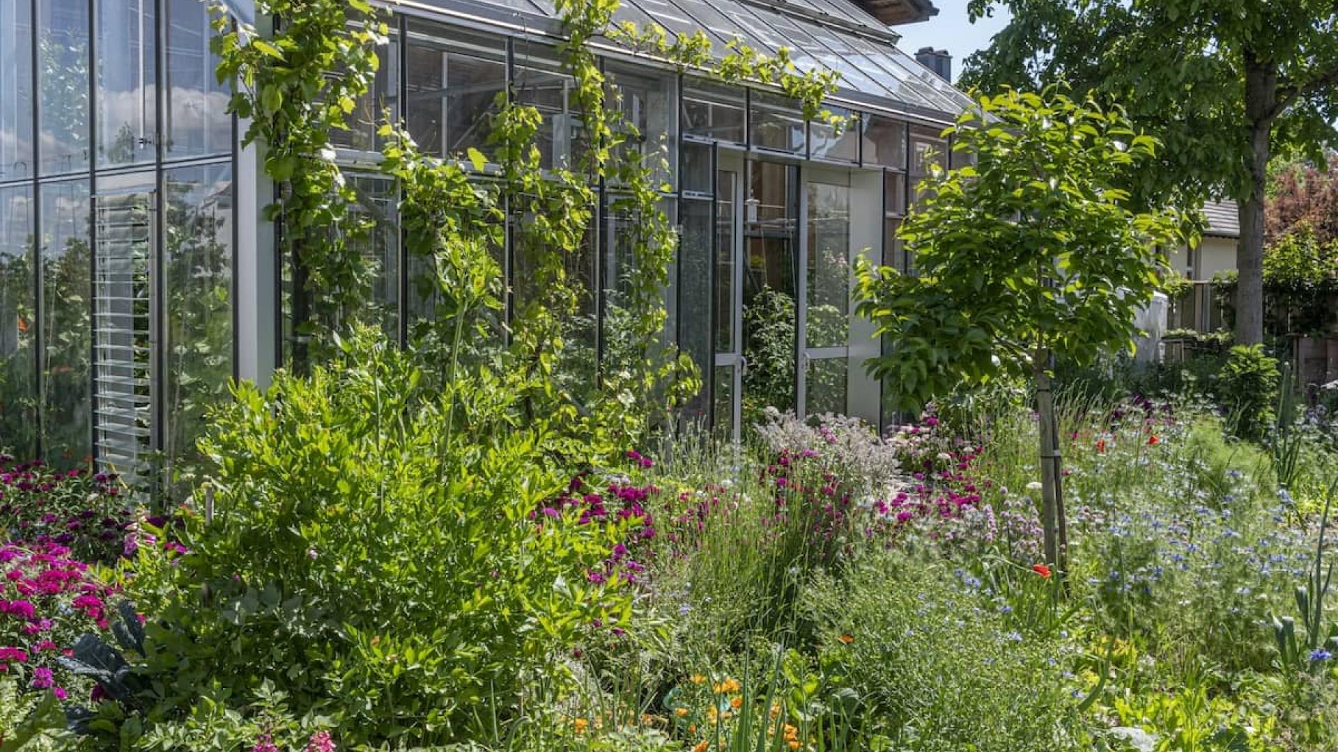 Staudenbeet vor Wintergarten